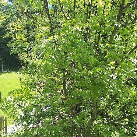 Apartment Orlitsch Klagenfurt am Woerthersee Bagian luar foto